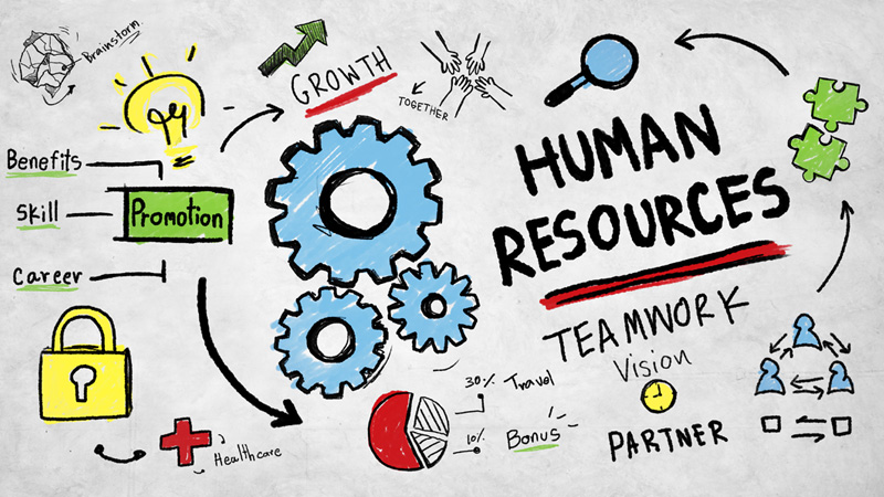 Human Resources Employment Job Teamwork